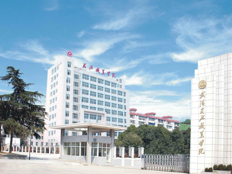 武汉民政职业学院综合楼改造工程